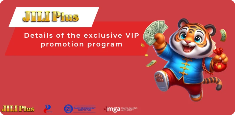 Details of the exclusive VIP promotion program