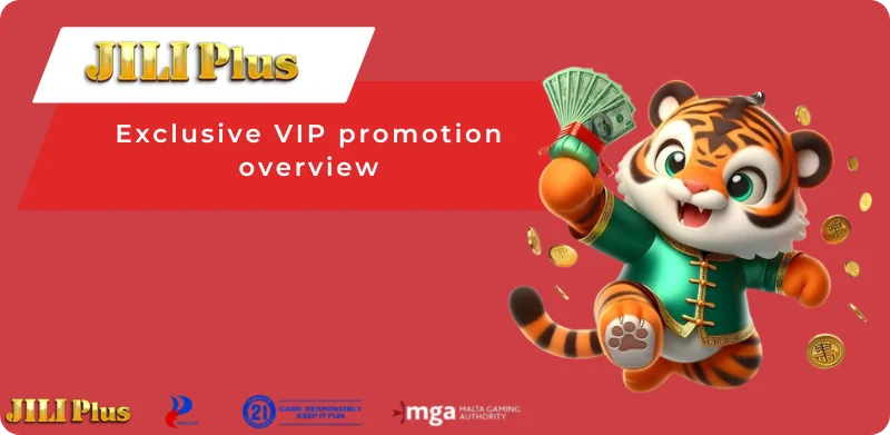 Overview of the exclusive VIP promotion program